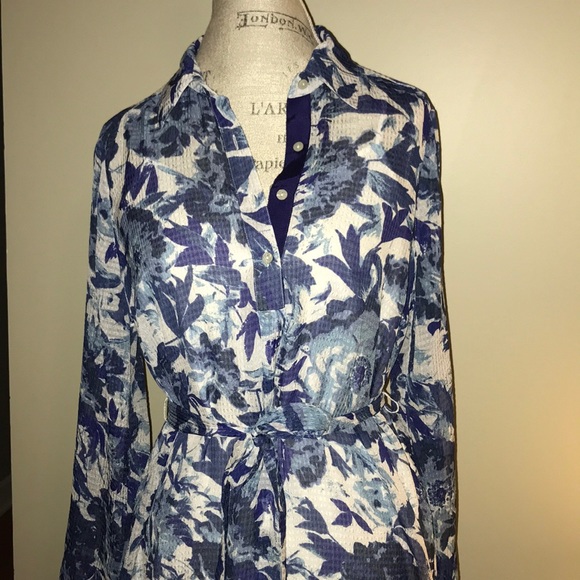 A Pea in the Pod Paris Blues Maternity Shirt Dress - Picture 4 of 8